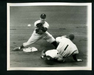 Pete Castiglione Pee Wee Reese 1951 Type 1 Press Photo Pittsburg Pirates Dodgers