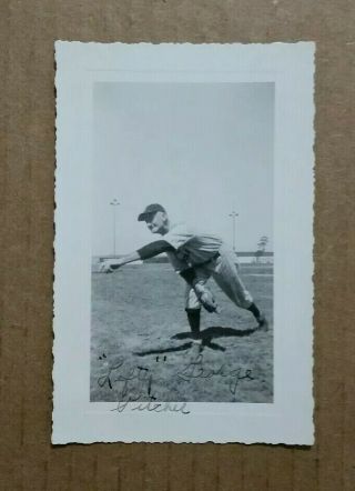 Lefty George,  York White Roses Baseball Player,  York,  Pa. ,  Vintage Photo,  Sept.  1943