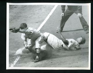Billy Johnson Roy Campanella 1951 Type 1 Press Photo Brooklyn Dodgers Cardinals