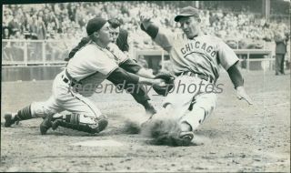 1948 Eddie Waitkus Cubs Tagged Out At Home News Service Photo