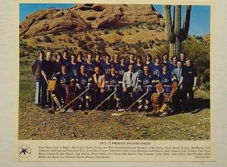 1972 - 73 Wha Phoenix Roadrunners 8 " X10 " Official Team Photo