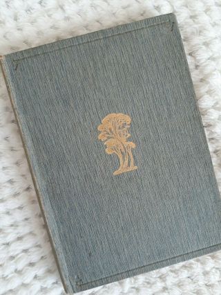 The Witch - Maid & Other Verses By Dorothea Mackellar 1914 1st Edition