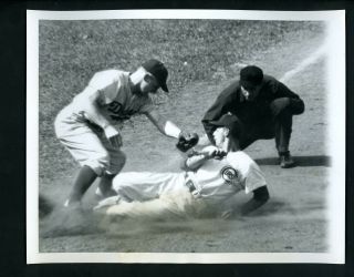 Bobby Morgan Bobby Brown Augie Donatelli 1952 Press Photo Brooklyn Dodgers Cubs
