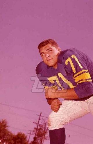 1961 Topps Football Color Negative.  Joe Scibelli Rams