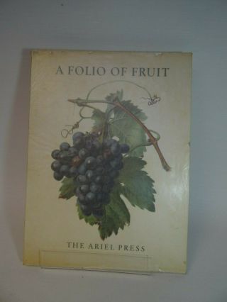 Complete Book Of Carlos Von Riefel A Folio Of Fruit (b) By The Ariel Press 1955