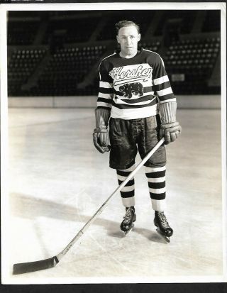 Hockey Photo: John S.  Drummond,  1943 - 44,  Hershey Bears,  Ahl,  8x10,  B&w Glossy
