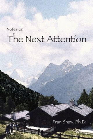 Fran Shaw / Notes On The Next Attention 2010