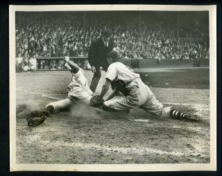Hal Wagner Elmer Valo Umpire Joe Paparella 1946 Press Photo Boston Red Sox A 