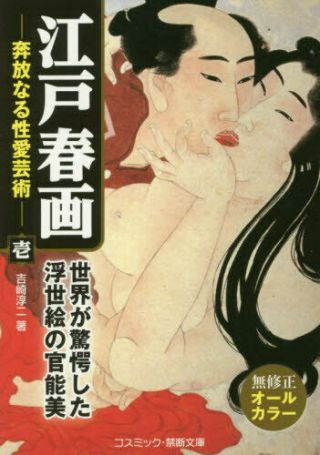 Edo Shunga Bohemian Sexual Art 1 Ancient Painting Artistic Erotic Viusal Painti