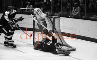 Doug Favell Toronto Maple Leafs - 35mm Hockey Negative