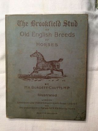 The Brookfield Stud Of Old English Breeds Of Horses.  1891