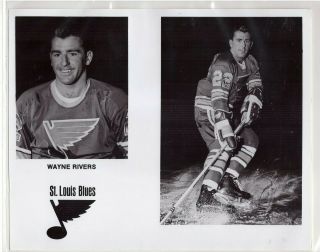 Wayne Rivers 1968 - 69 St.  Louis Blues Team Issue 8x10 Nhl Photograph Wha