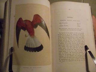 1851 A History Of British Birds Vol 1 Only Rev Morris Hand Coloured Plates 1st