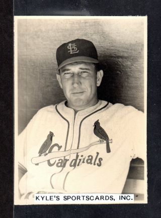 Fred Hutchinson Cardinals 3 - 1/4 X 4 - 1/2 B & W Real Photo Postcard 4
