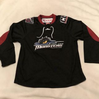 Lake Erie Cleveland Monsters Ahl Ccm Hockey Jersey Size Youth Large/xl