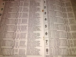 raynham Taunton Greyhound race program may 15,  1992 the most exciting Greyhound 2