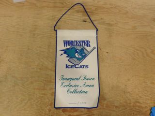 Ahl Worcester Icecats 1994 Inaugural Season Mini Pennant 1/1000 Defunct