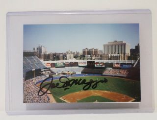 Joe Dimaggio Signed Photo Of Yankee Stadium With