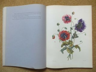 Vintage Book Jean Louis Prevost Bouquets Colour Flower Prints Gardening Pictures