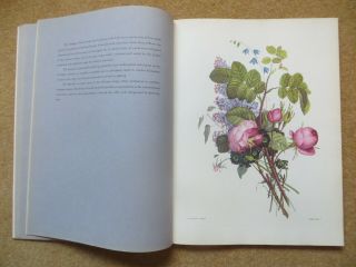 vintage book JEAN LOUIS PREVOST BOUQUETS colour flower prints gardening pictures 3