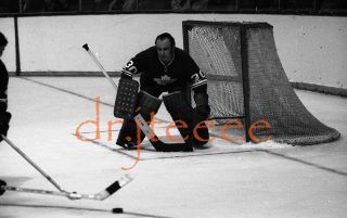 Bruce Gamble Toronto Maple Leafs - 35mm Hockey Negative