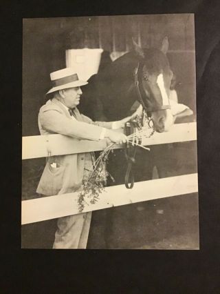 Gallant Fox Photo 1930 Kentucky Derby Horse Racing Sunny Jim