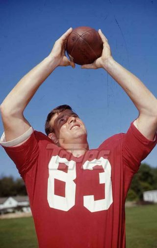 1969 Topps Football Color Negative.  Chuck Logan Cardinals