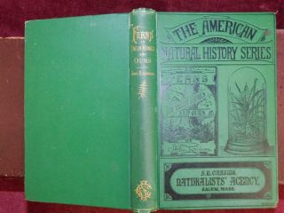 Ferns In Their Homes & Ours By John Robinson/22 Pictures/botany/scarce 1878 1st