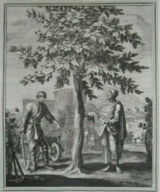 1708 Large Fine Engraving Parable Of Barren Fig Tree Gospel Of Luke Christianity