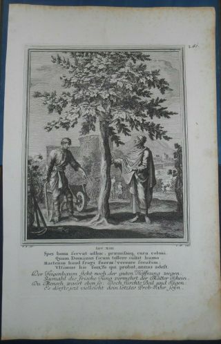 1708 LARGE FINE ENGRAVING PARABLE OF BARREN FIG TREE GOSPEL OF LUKE CHRISTIANITY 2