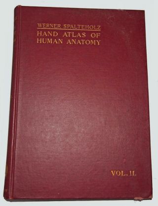 Hand Atlas Of Human Anatomy Antique Medical Book Vol Ii Ed Spalteholz