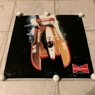 1984 Miss Budweiser U - 12 Unlimited Hydroplane Racing Poster 17x18 King Of Beers