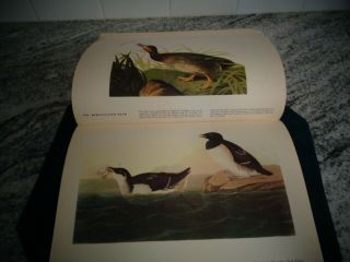 1941 Ed The Birds of America John James Audubon 435 Full Pages Awesome 3