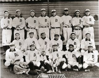 Detroit Tigers Team 1907 Ty Cobb Boston Terrier Dog Mascot Baseball Bats Mitts