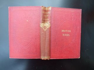 A History Of British Birds - Vol 1,  C 1850 With 43 Hand Coloured Plates.  Falcons