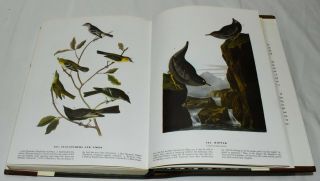 The Birds Of America By Audubon Printed In 1974 With 435 Color Plates