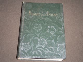 1929 Beauty From Bulbs Published By John Scheepers,  Inc - Color Illus.  - Ii 3733