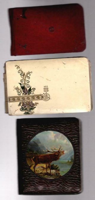 1905 Set Of 3 Autograph Books Signed By Nettie Friends