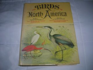 Studers The Birds Of North America Art By Jasper 1977 1st Edition 20 " X 14 " Dj