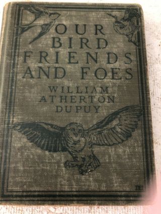 Our Bird Friends And Foes 1925