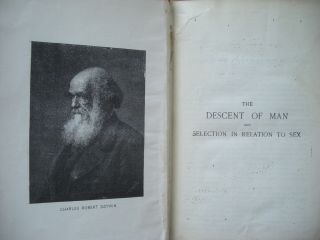 THE DESCENT OF MAN AND SELECTION IN RELATION TO SEX CHARLES DARWIN 1874 3