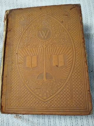 Antique American Dictionary Of The English Language 1901