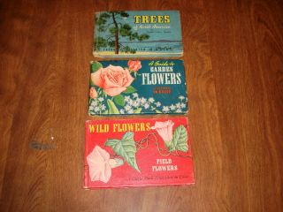 3 Vintage A Guide To Garden Flowers,  Trees,  Field Flowers Illustrated In Color
