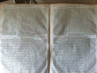 1657 Polyglot Bible Bifolium Greek Syriac Latin Hebrew English Set