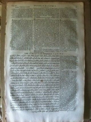 1657 Polyglot Bible BIFOLIUM Greek Syriac Latin Hebrew English Set 2