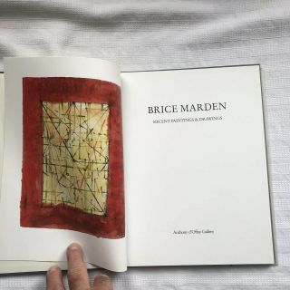 Brice Marden A Vision Of The Unsayable By John Yau HB Ed 2