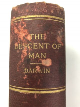 The Descent Of Man & Selection In Relation To Sex By Charles Darwin 1874 Collec