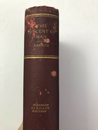 The Descent of Man & selection in relation to sex by Charles Darwin 1874 collec 2