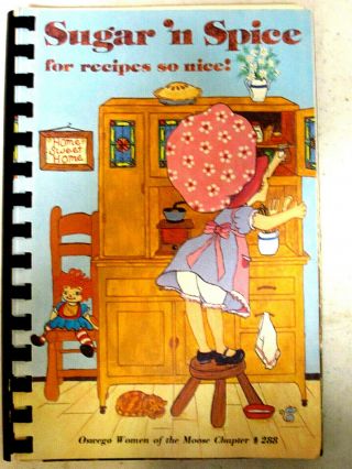 1984 Oswego,  Ny Women Of The Moose Lodge Chapter 288 Recipe Book Spiral Bound