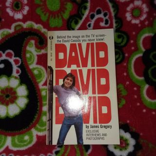 Vintage 1970s David Cassidy By James Gregory Partridge Family Collectable